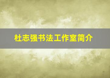 杜志强书法工作室简介