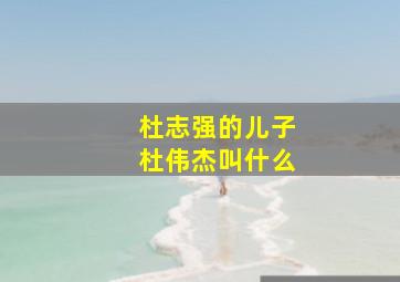 杜志强的儿子杜伟杰叫什么