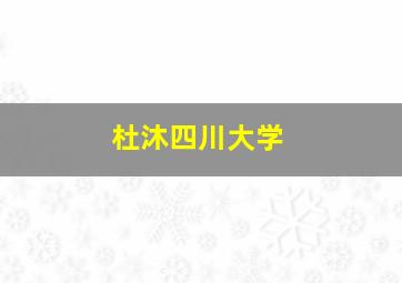 杜沐四川大学