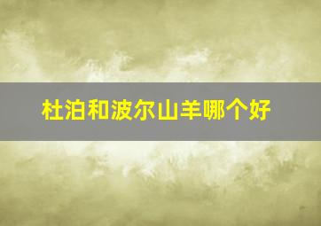 杜泊和波尔山羊哪个好