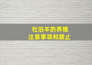 杜泊羊的养殖注意事项和禁止