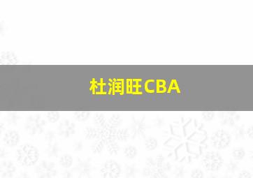 杜润旺CBA