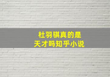 杜羽骐真的是天才吗知乎小说