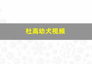 杜高幼犬视频