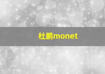 杜鹏monet