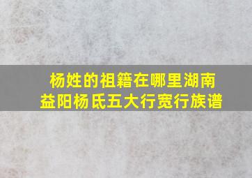 杨姓的祖籍在哪里湖南益阳杨氐五大行宽行族谱