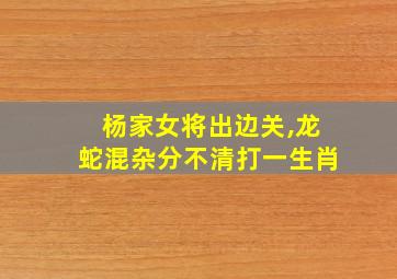 杨家女将出边关,龙蛇混杂分不清打一生肖