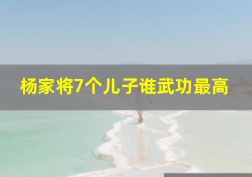 杨家将7个儿子谁武功最高