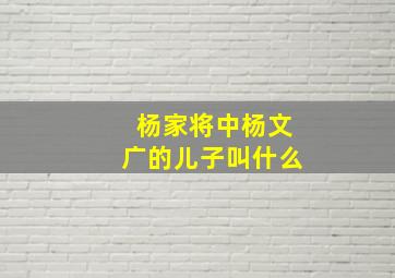 杨家将中杨文广的儿子叫什么