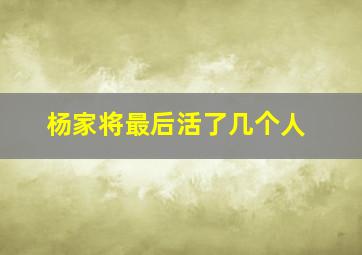 杨家将最后活了几个人