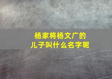 杨家将杨文广的儿子叫什么名字呢