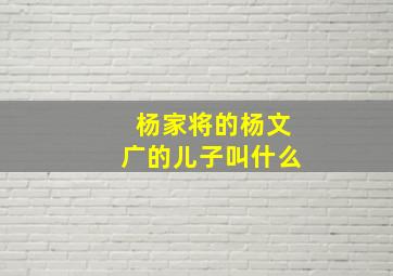 杨家将的杨文广的儿子叫什么