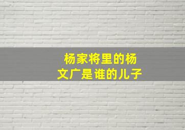 杨家将里的杨文广是谁的儿子