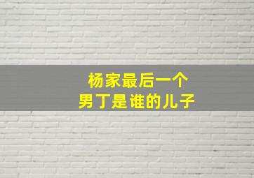 杨家最后一个男丁是谁的儿子