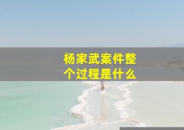 杨家武案件整个过程是什么