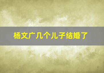 杨文广几个儿子结婚了