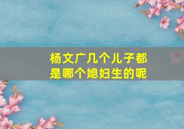 杨文广几个儿子都是哪个媳妇生的呢