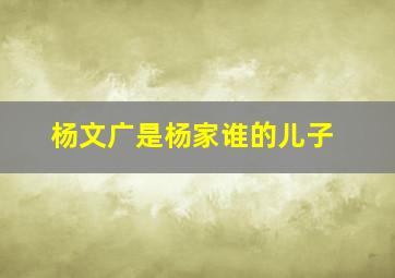 杨文广是杨家谁的儿子