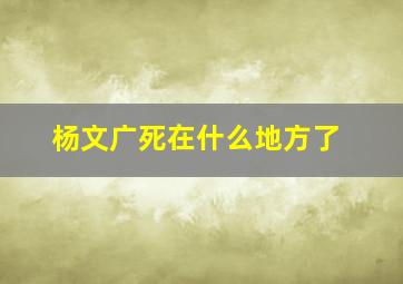 杨文广死在什么地方了