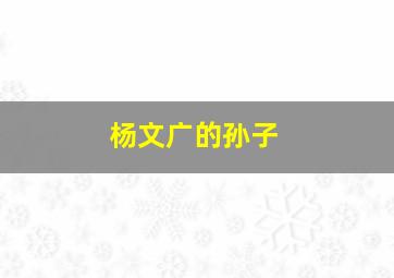 杨文广的孙子