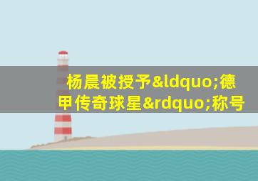 杨晨被授予“德甲传奇球星”称号