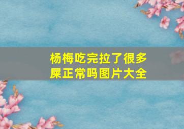 杨梅吃完拉了很多屎正常吗图片大全