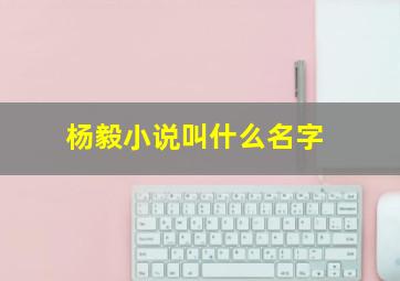 杨毅小说叫什么名字