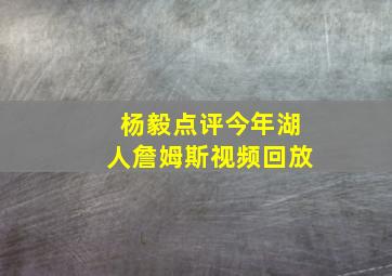 杨毅点评今年湖人詹姆斯视频回放