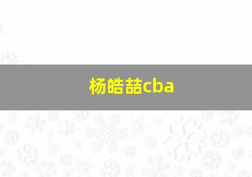 杨皓喆cba