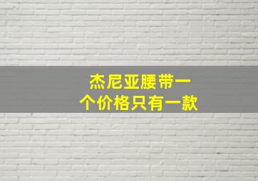 杰尼亚腰带一个价格只有一款