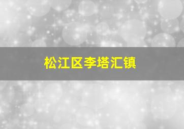 松江区李塔汇镇