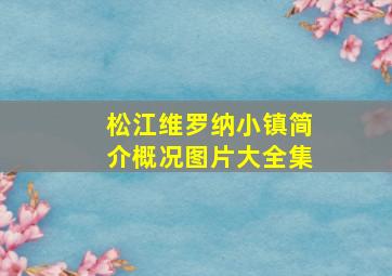 松江维罗纳小镇简介概况图片大全集