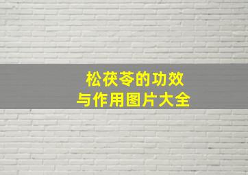 松茯苓的功效与作用图片大全