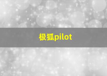 极狐pilot