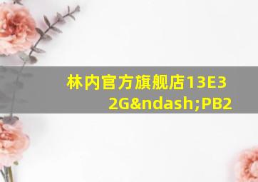 林内官方旗舰店13E32G–PB2