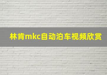 林肯mkc自动泊车视频欣赏