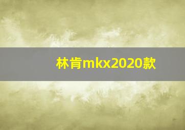 林肯mkx2020款