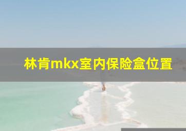 林肯mkx室内保险盒位置