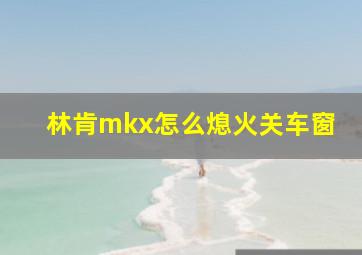 林肯mkx怎么熄火关车窗