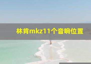 林肯mkz11个音响位置