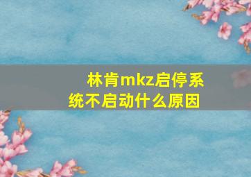 林肯mkz启停系统不启动什么原因