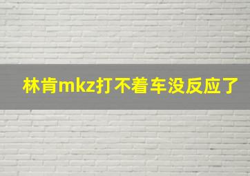 林肯mkz打不着车没反应了