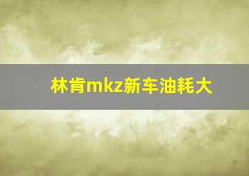 林肯mkz新车油耗大