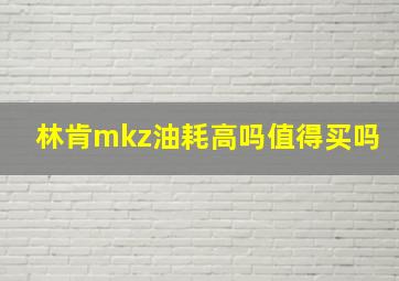 林肯mkz油耗高吗值得买吗