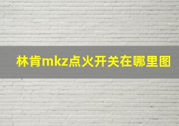 林肯mkz点火开关在哪里图