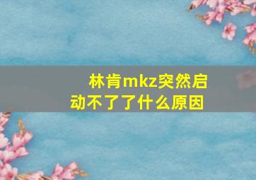 林肯mkz突然启动不了了什么原因