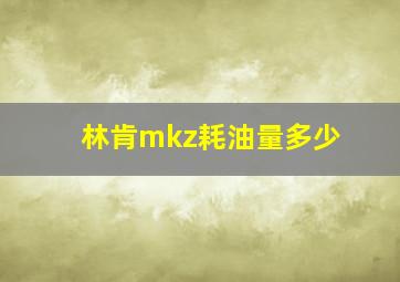 林肯mkz耗油量多少