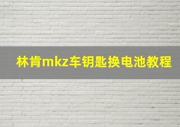 林肯mkz车钥匙换电池教程