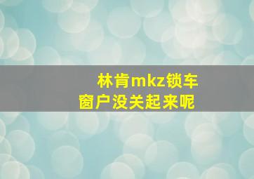 林肯mkz锁车窗户没关起来呢