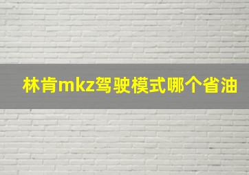 林肯mkz驾驶模式哪个省油